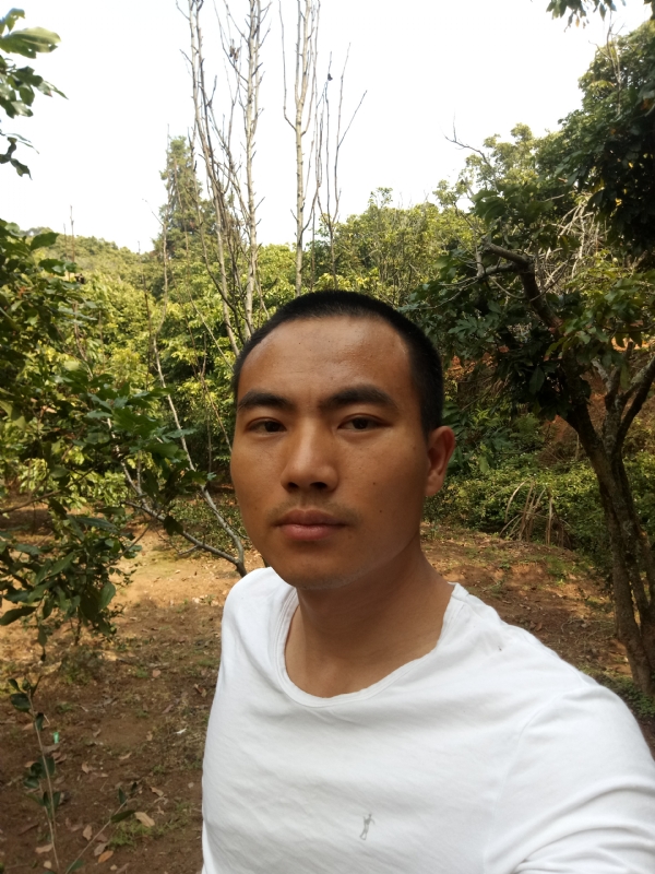 简单的第一张照片--福建蓝颜知己交友网