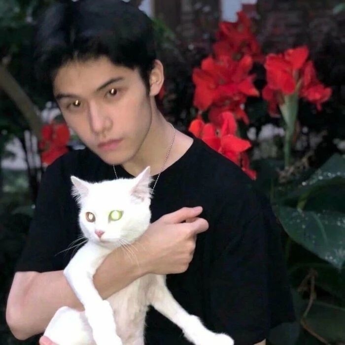 爷的魅力你不懂的第一张照片--福建蓝颜知己交友网